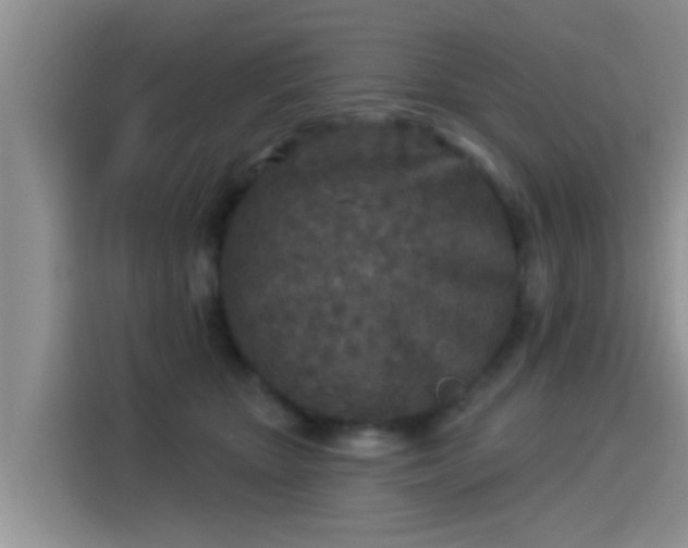 X0000115430467200911121107