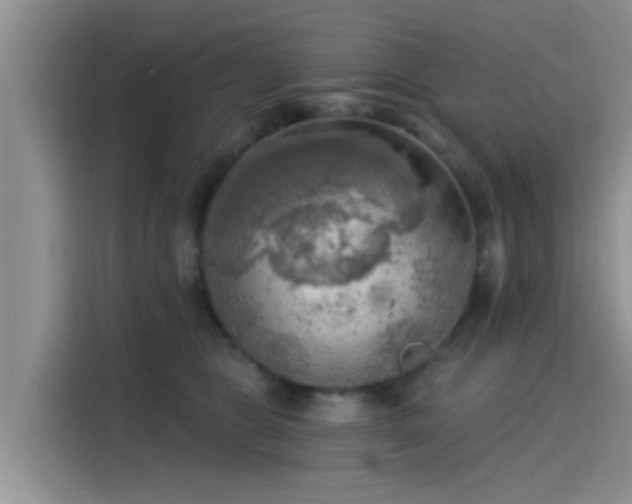 X0000115430469200911121107