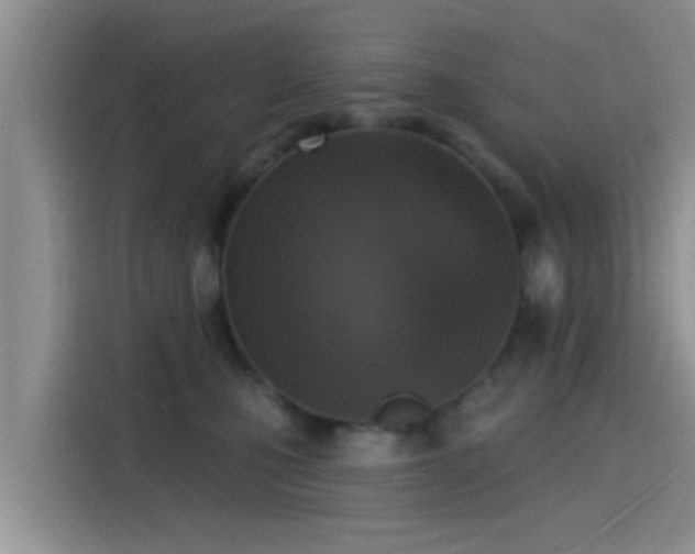 X0000115430471200911121107