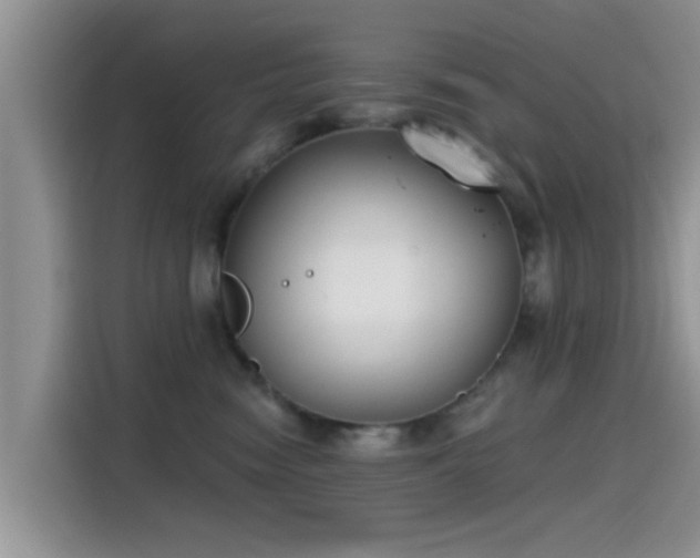 X0000115430474200911121107