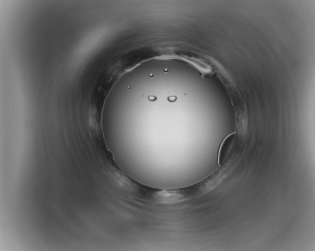 X0000115430477200911121107