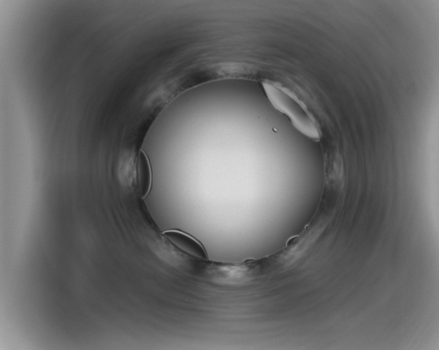 X0000115430478200911121107