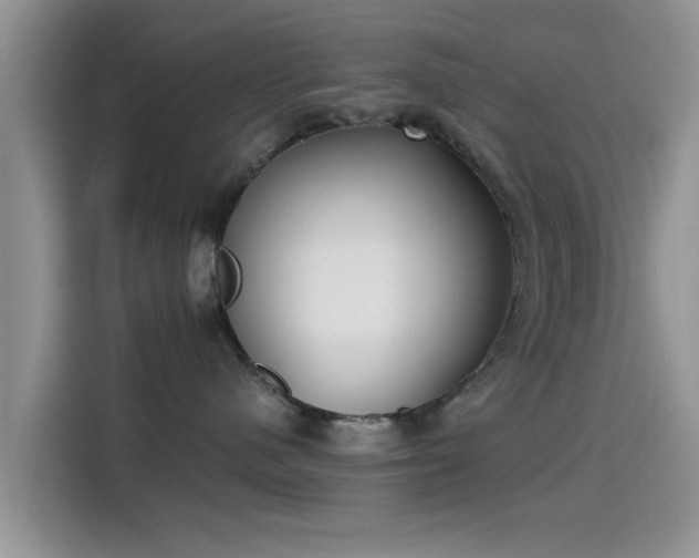 X0000115430480200911121107