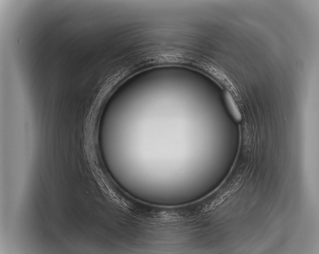 X0000115430481200911121106