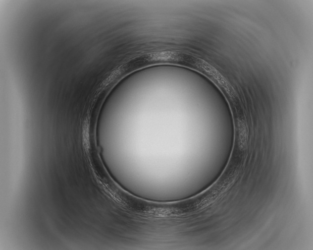 X0000115430482200911121106