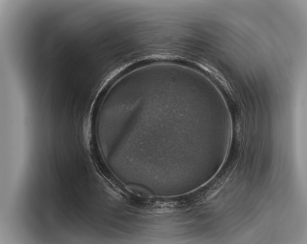 X0000115430484200911121106