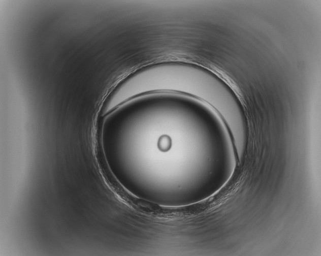 X0000115430485200911121106