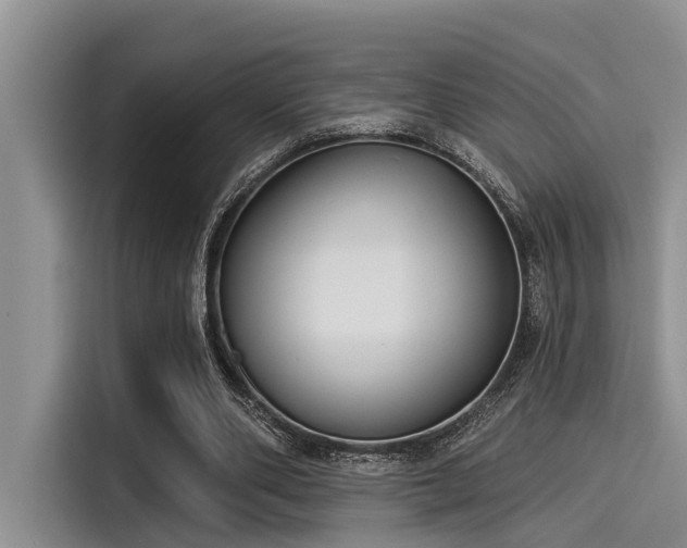 X0000115430486200911121106