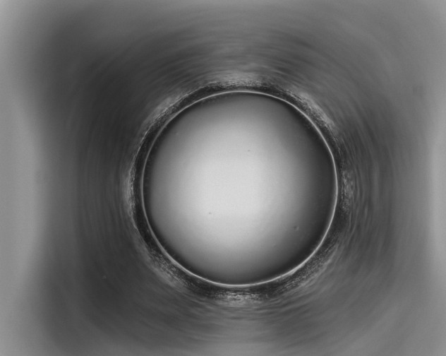 X0000115430487200911121106