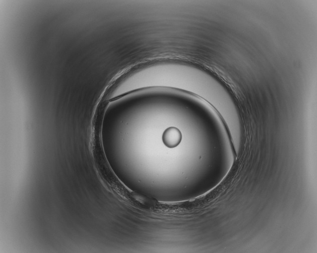 X0000115430488200911121106
