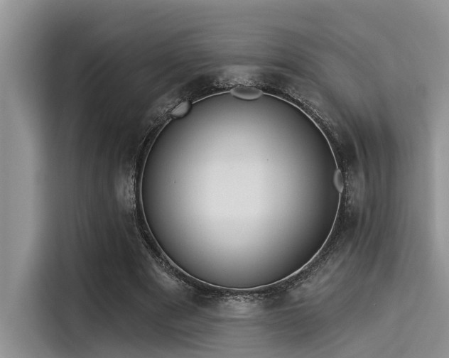 X0000115430489200911121106