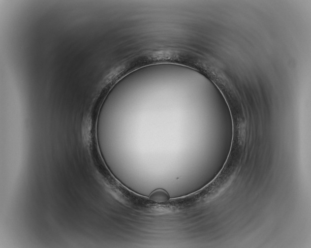 X0000115430490200911121106