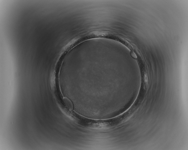 X0000115430492200911121106