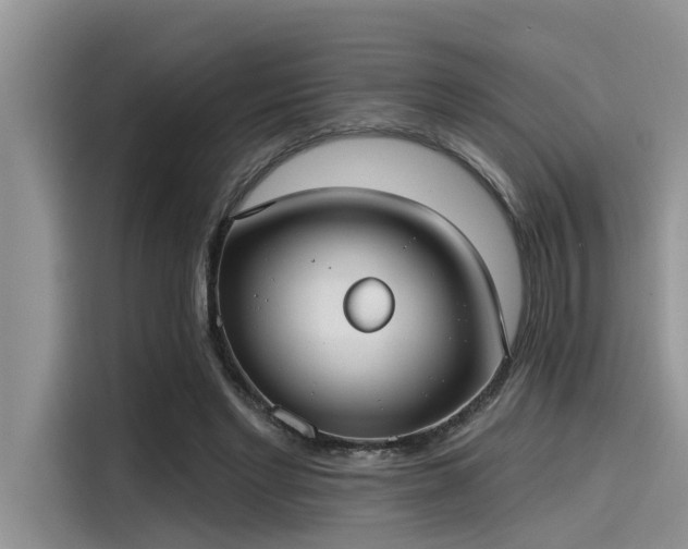 X0000115430493200911121106