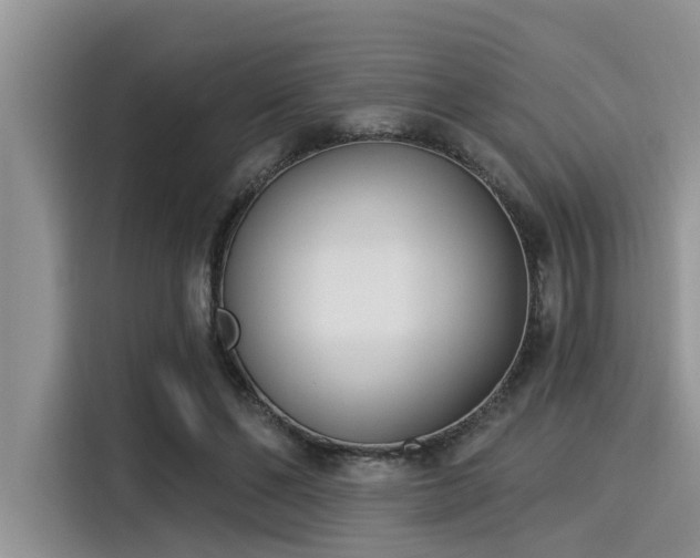 X0000115430494200911121106