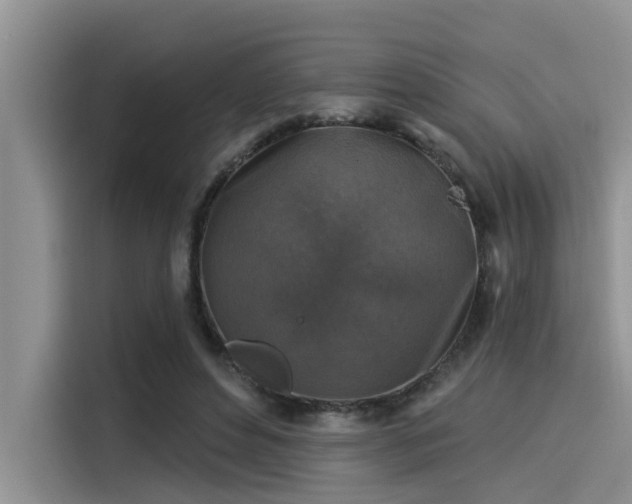 X0000115430496200911121106