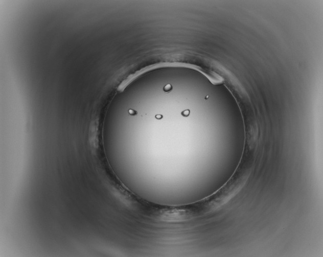 X0000115430497200911121106