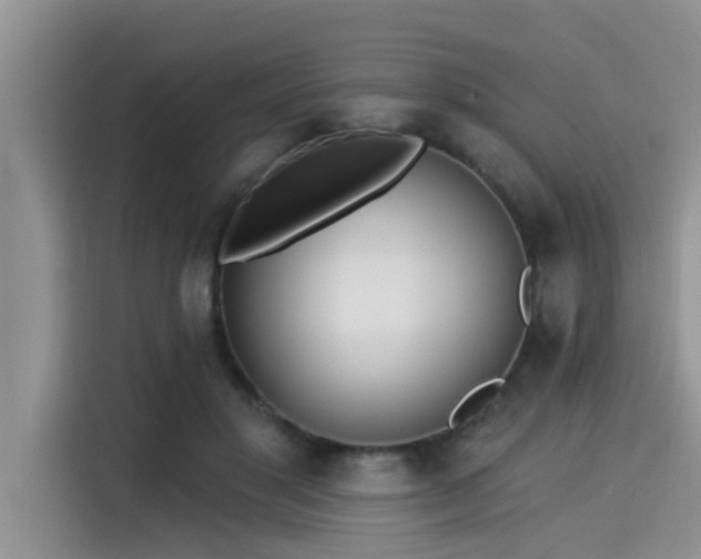 X0000115430501200911121106