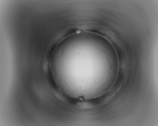 X0000115430503200911121106