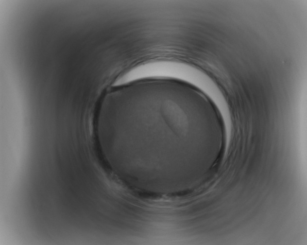 X0000115430504200911121106