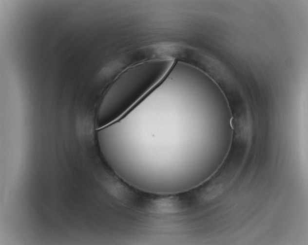 X0000115430505200911121106