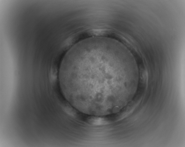 X0000115430507200911121106
