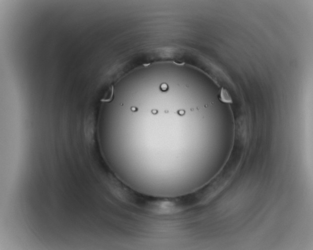 X0000115430509200911121106