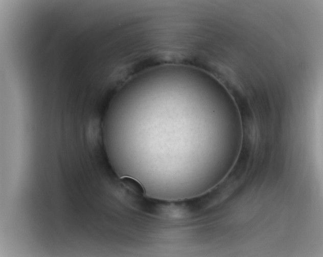 X0000115430511200911121106