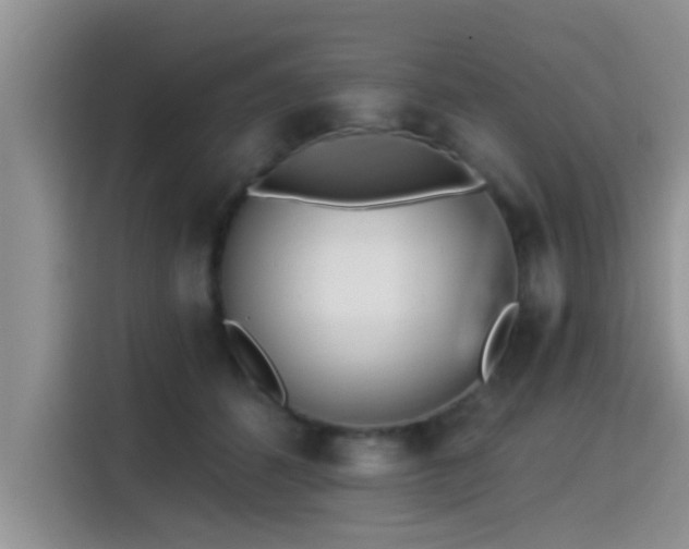 X0000115430512200911121106
