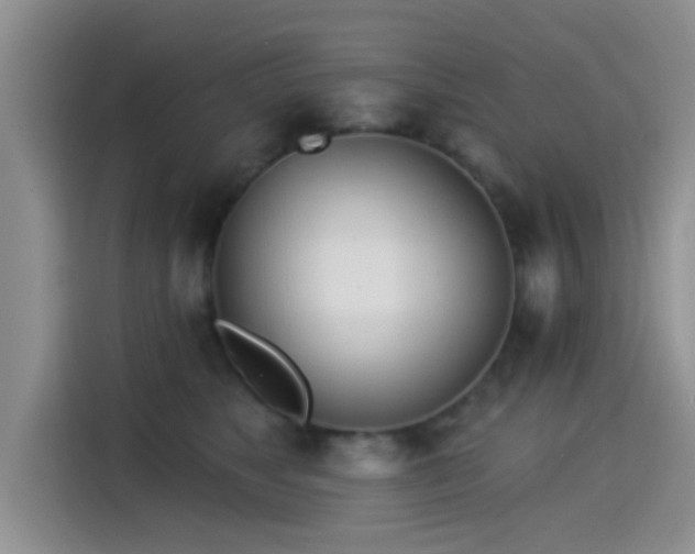 X0000115430517200911121106