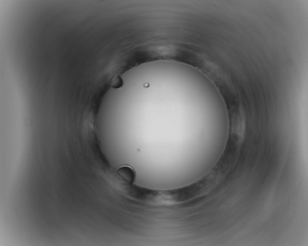 X0000115430518200911121106