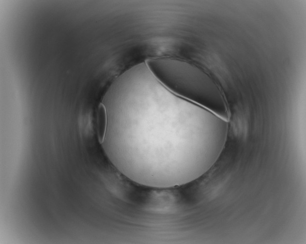 X0000115430520200911121106