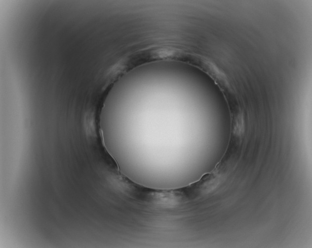 X0000115430524200911121106