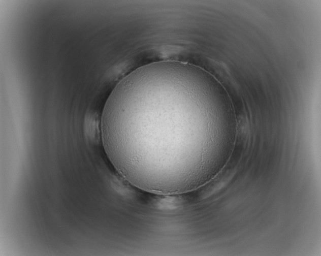 X0000115430527200911121106