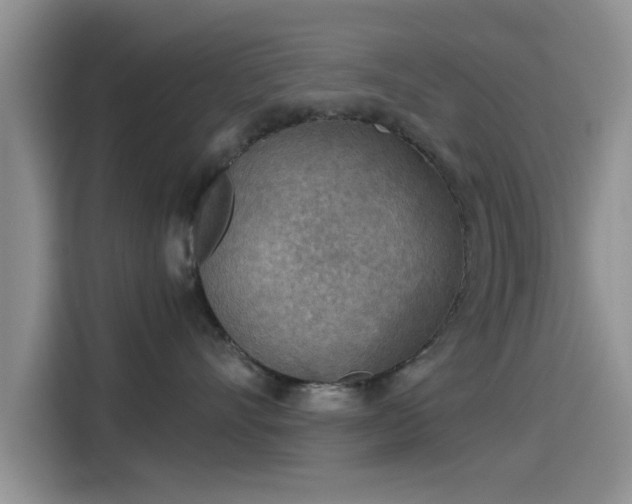 X0000115430528200911121106