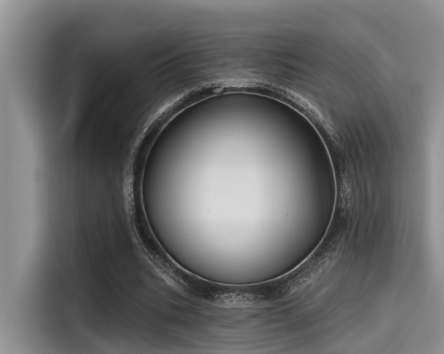 X0000115430535200911121105