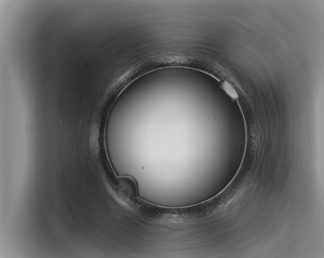 X0000115430538200911121105
