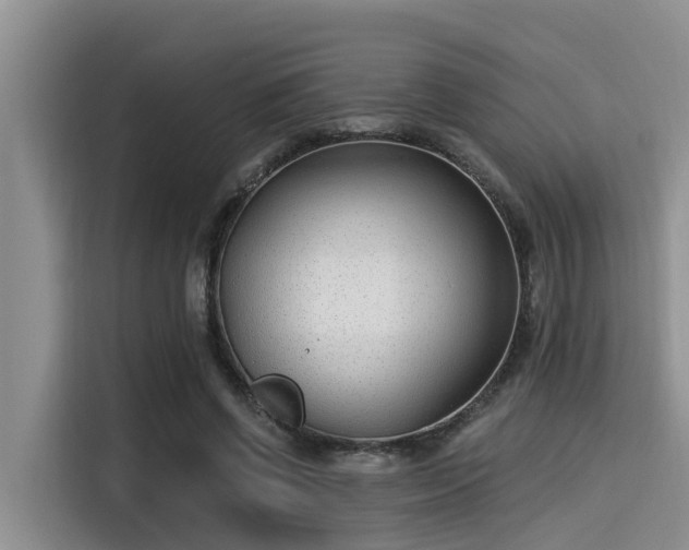 X0000115430542200911121105