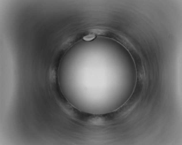 X0000115430551200911121105
