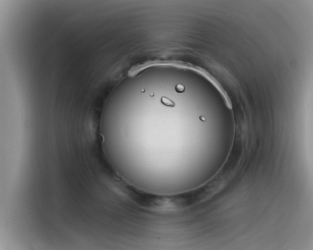 X0000115430558200911121105