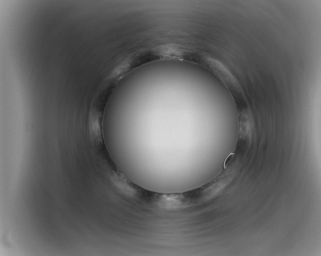 X0000115430573200911121105