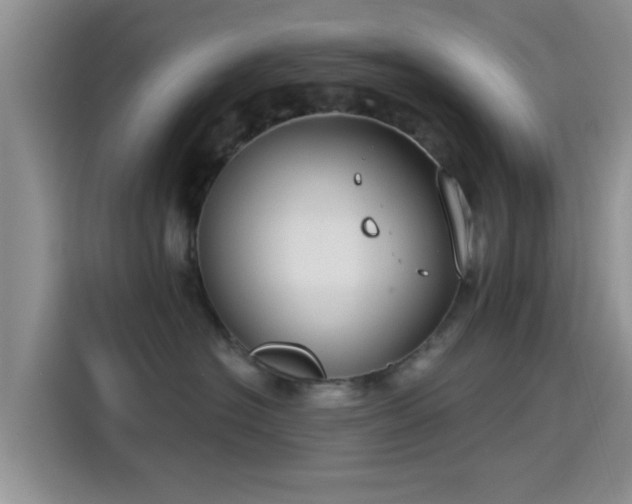 X0000115430574200911121105