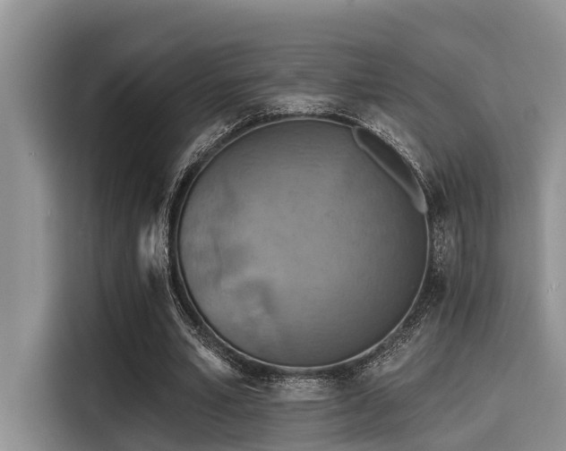 X0000115430581200911121105