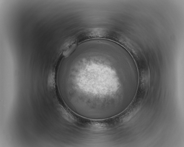X0000115430585200911121105