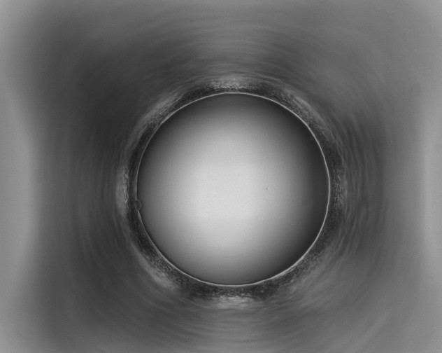 X0000115430586200911121105