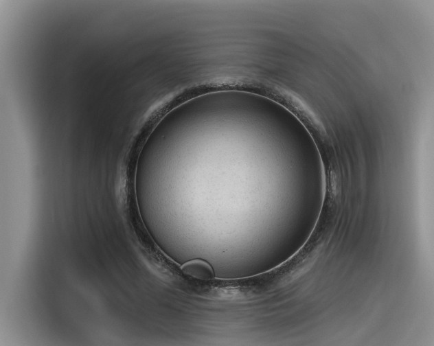 X0000115430588200911121105