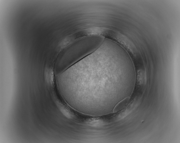 X0000115430589200911121105