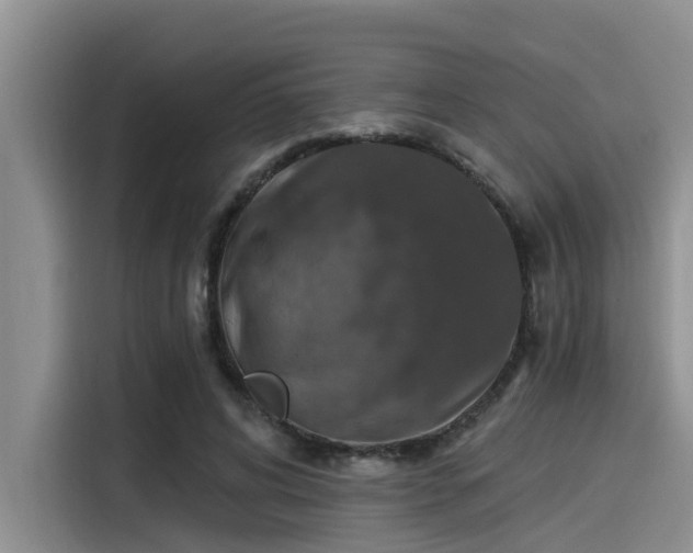 X0000115430592200911121105