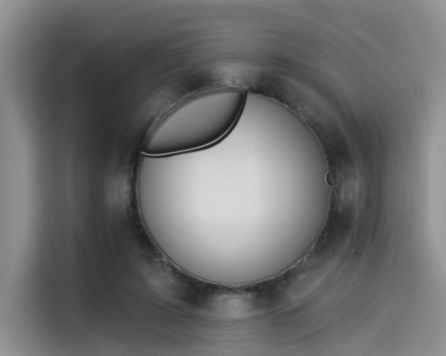 X0000115430595200911121105