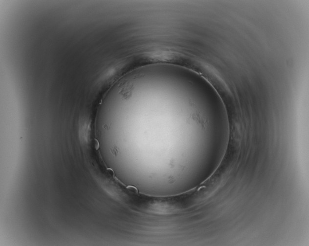 X0000115430596200911121105